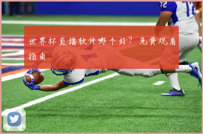 世界杯直播软件哪个好?免费观看指南