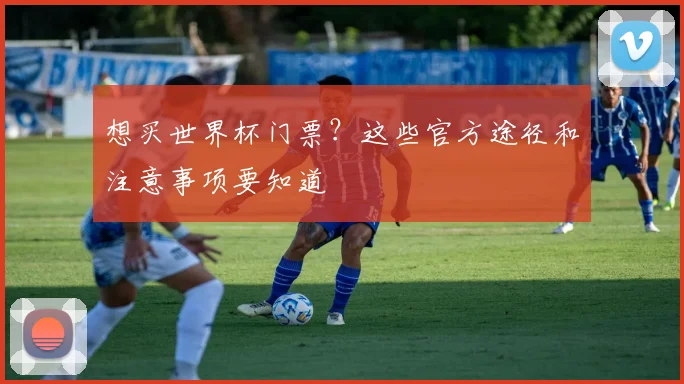 想买世界杯门票?这些官方途径和注意事项要知道